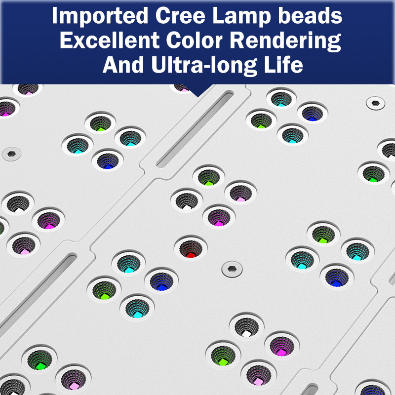 Marine Aquarium & Regional Centre Reviews - 핫 KASSRAY T169/T215 CREE LED 풀