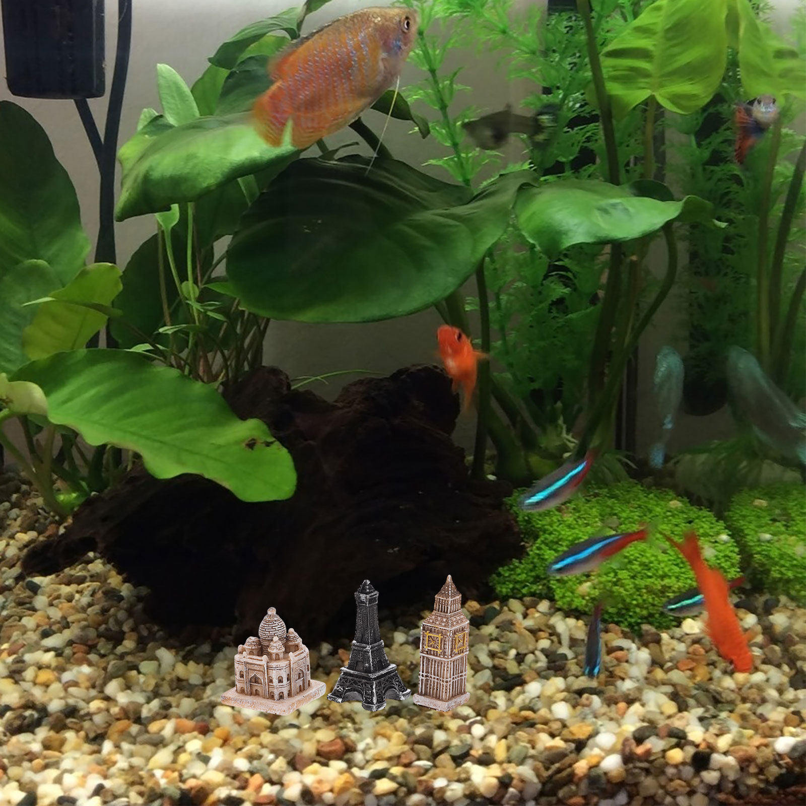 Aquarium & Marine Museum Ums - 7Pcs 미니어처 로마 동상 상세한 수지