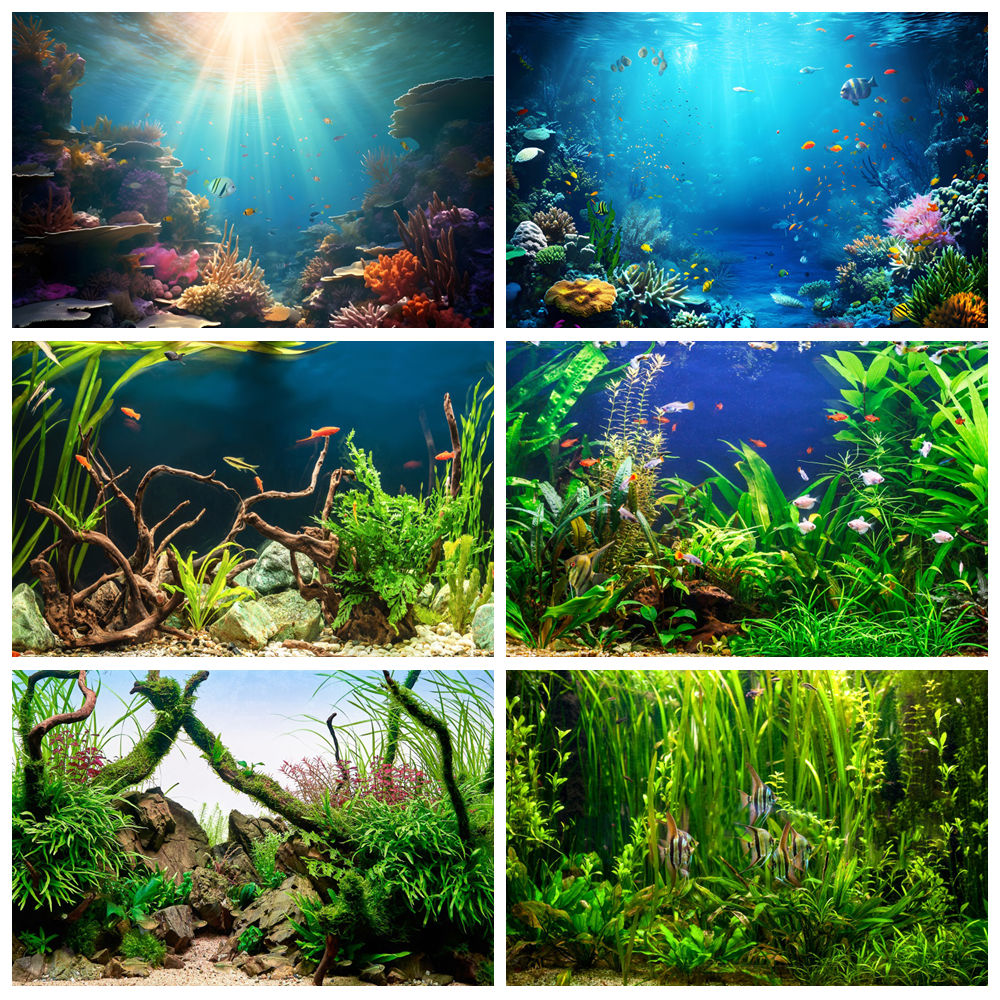 Aquarium Marine World - 바다 바닥 세계 사진 배경 수중