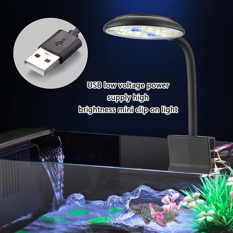 Marine Life Aquariums - 밝기 조정 LED 수족관의 가벼운 가벼운