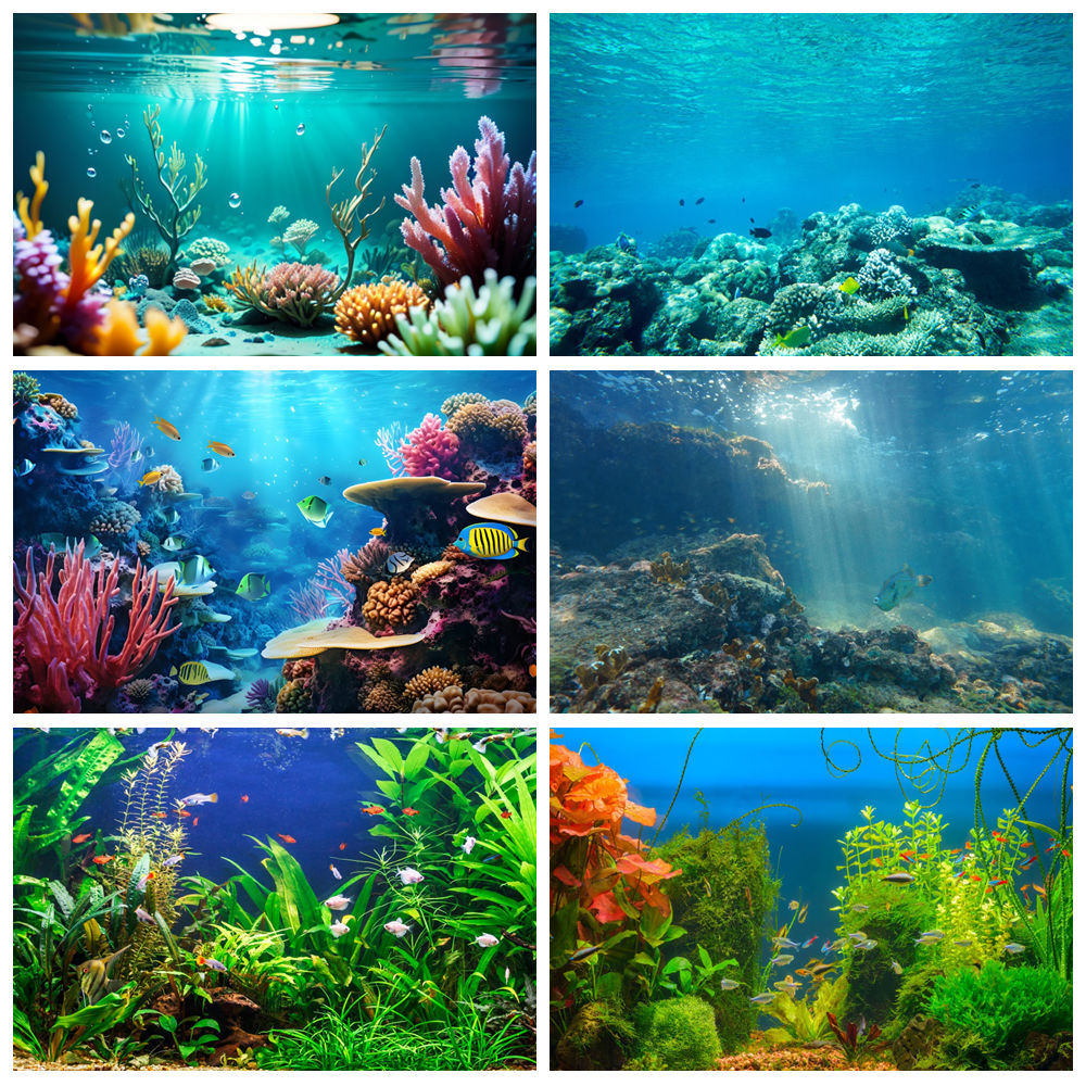 Aquarium Marine World - 수중 세계 바다 바닥 사진 배경