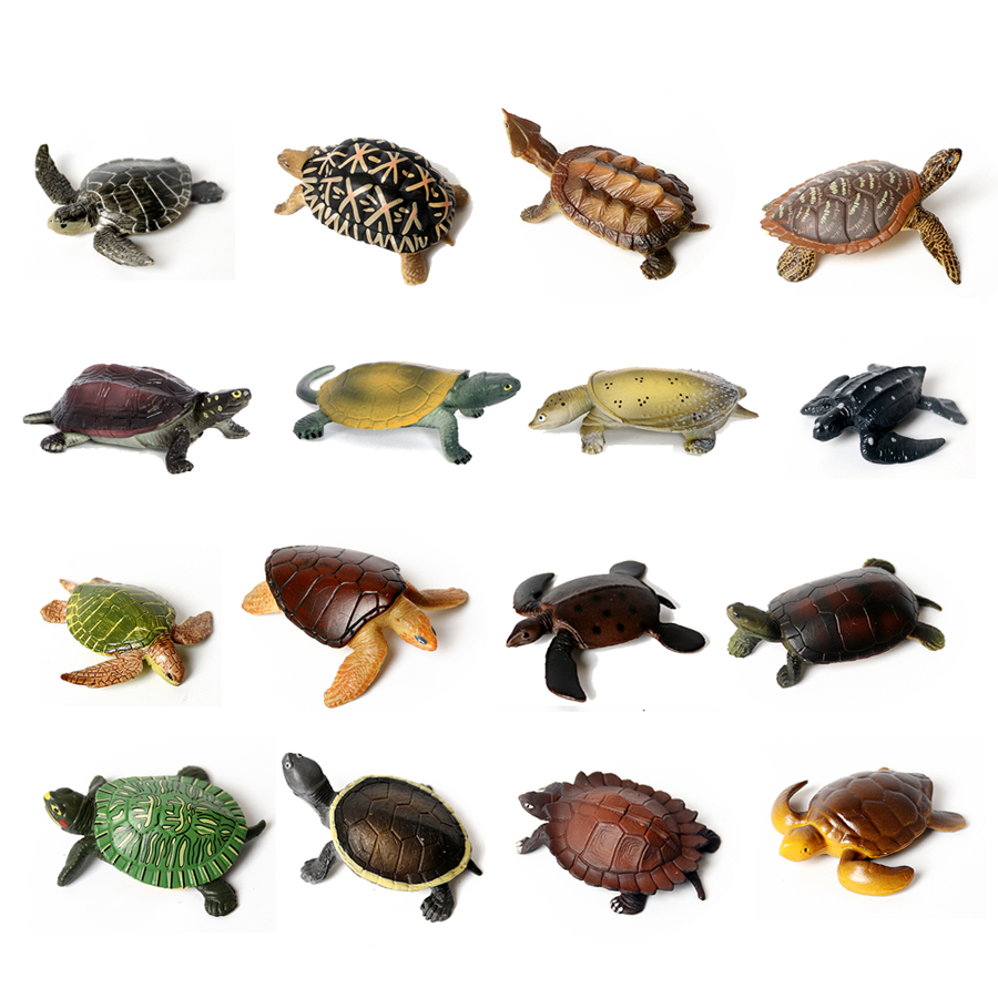 Marine Life Aquariums - 현실적인 미니어처 해양 생물 바다 거북이