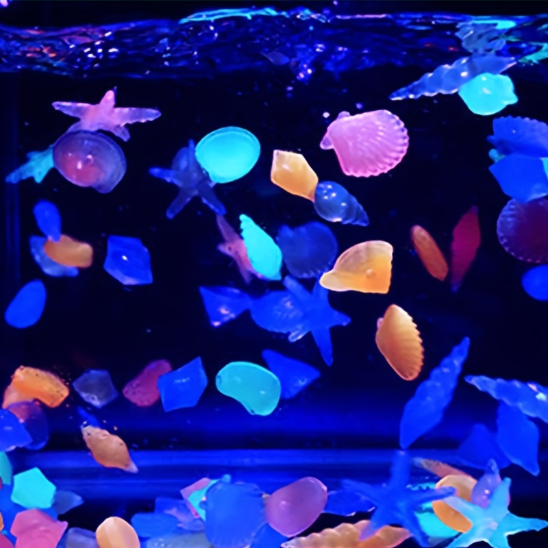 100개 해양 발광석, 다채로운 발광석 조개 불가사리  - Aquarium Marine Color 리뷰 및 가격