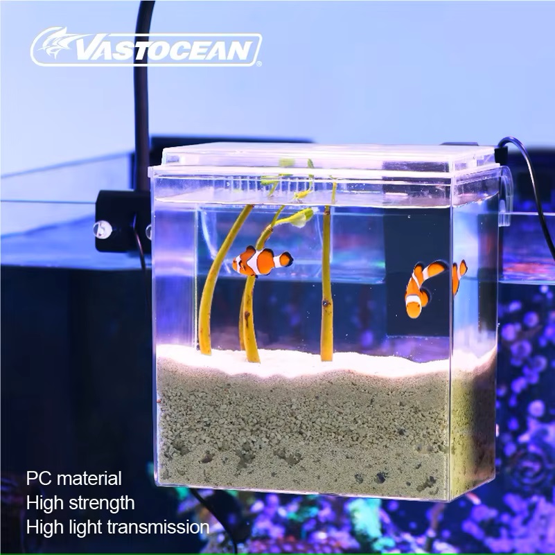 VASTOCEAN 수조 외부 먹이 상자 해양 탱크 확장 - Protein Skimmer Hang On 리뷰 및 가격