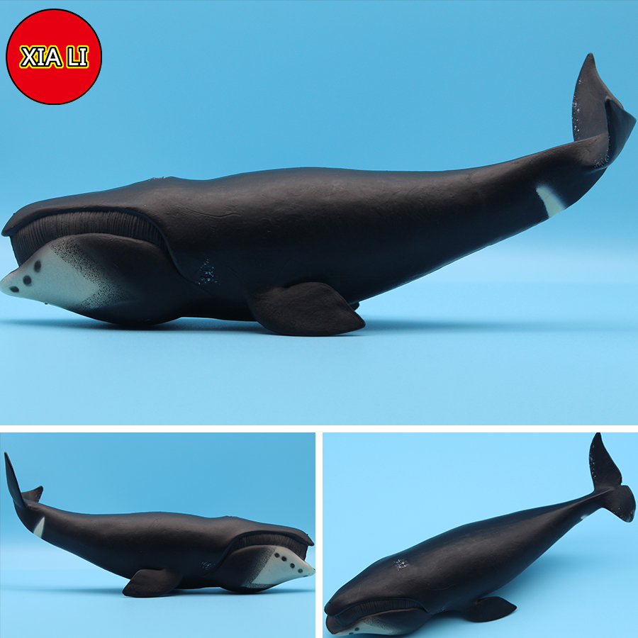 해양 생물 시뮬레이션 킬러 고래 보우헤드 흰고래 액션  - Marine Life Aquariums 리뷰 및 가격