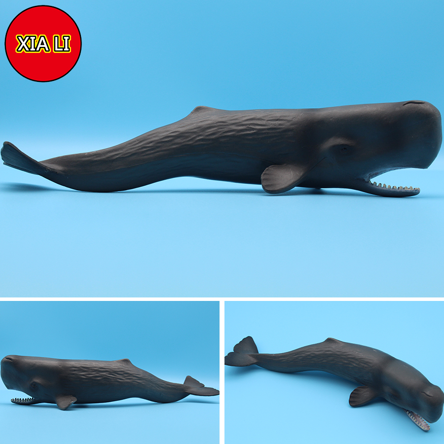 해양 생물 시뮬레이션 킬러 고래 보우헤드 흰고래 액션  - Marine Life Aquariums 리뷰 및 가격