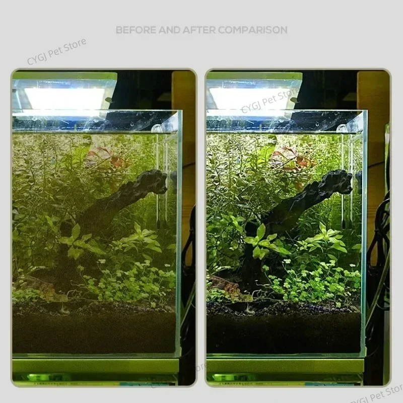 수조 청소 도구 평면 모래 조류 제거 이중 용도 유리  - Aquarium Marine Sand 리뷰 및 가격