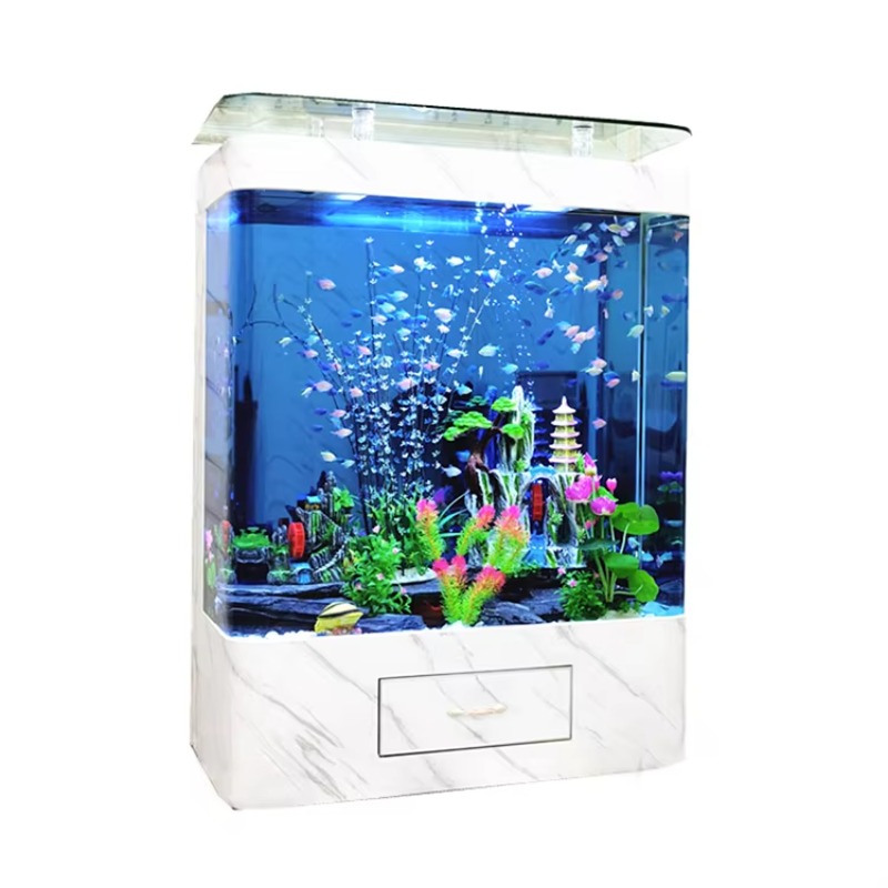 해양 200갤런 유리 어항, 거실/다이닝룸용 모던 디자 - Marine Aquarium Design 리뷰 및 가격
