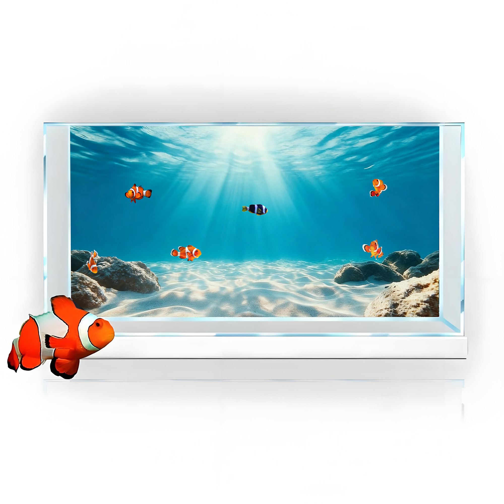 푸른 바다 투명 모래, 어항 배경 그림, 수족관 스티커 - Aquarium Marine Sand 리뷰 및 가격