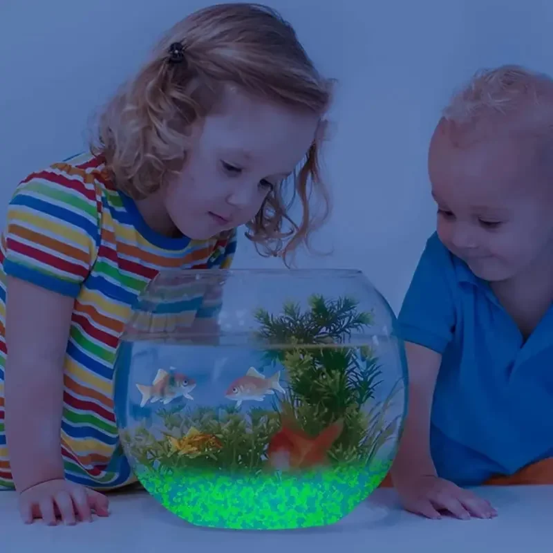 1000pcs 어두운 자갈 돌에 3-5mm 빛나는 모래 - Aquarium Marine Sand 리뷰 및 가격