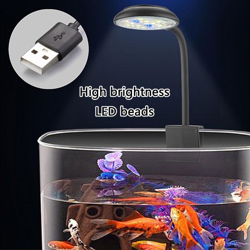 밝기 조정 LED 수족관의 가벼운 가벼운 전체 스펙트럼 - Marine Life Aquariums 리뷰 및 가격