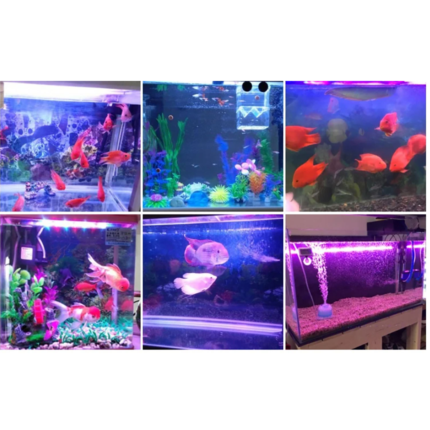 50W 60W 70W 100W RGB 26-28V 고출 - Aquarium Marine Color 리뷰 및 가격