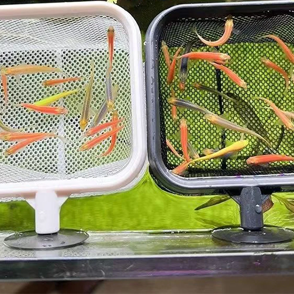 낚시 착륙 그물 녹슬지 않는 부식 방지 스테인레스 스틸 - Aquarium Marineland 리뷰 및 가격