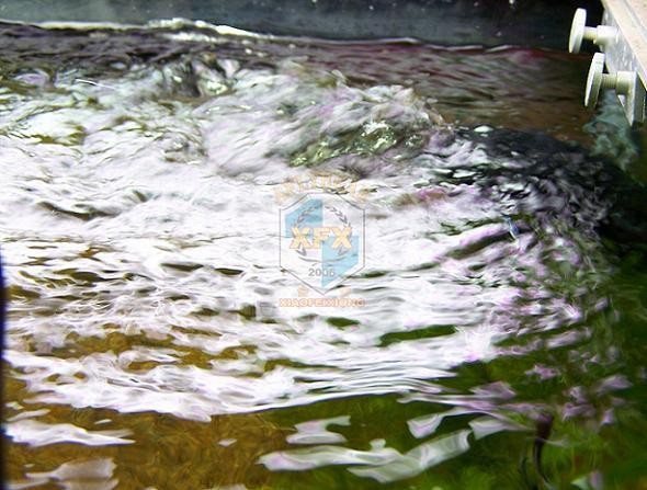 썬썬 Jvp-200 최신 웨이브 메이커 펌프, 6w 나 - Aquarium Marine Color 리뷰 및 가격