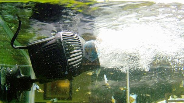 썬썬 Jvp-200 최신 웨이브 메이커 펌프, 6w 나 - Aquarium Marine Color 리뷰 및 가격