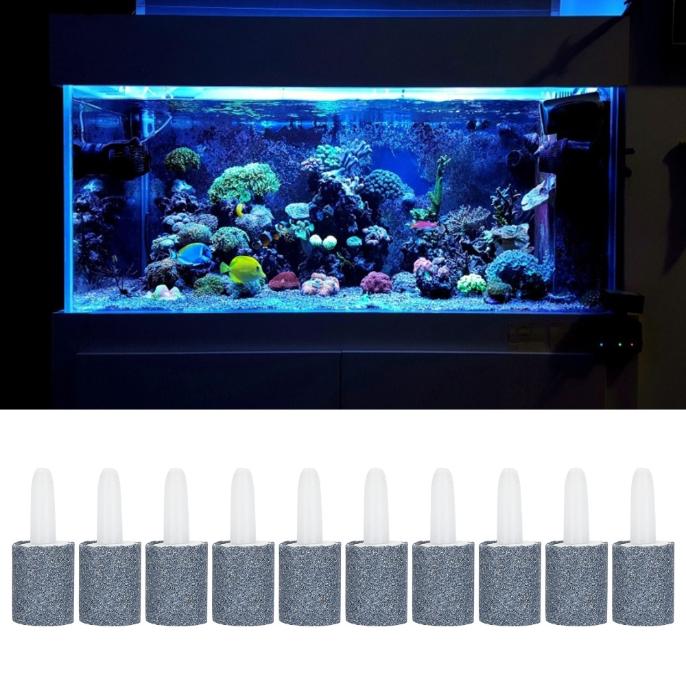 10개 세트 원통형 수족관 에어 스톤 샌드 헤드 내구성 - Aquarium Marine Sand 리뷰 및 가격